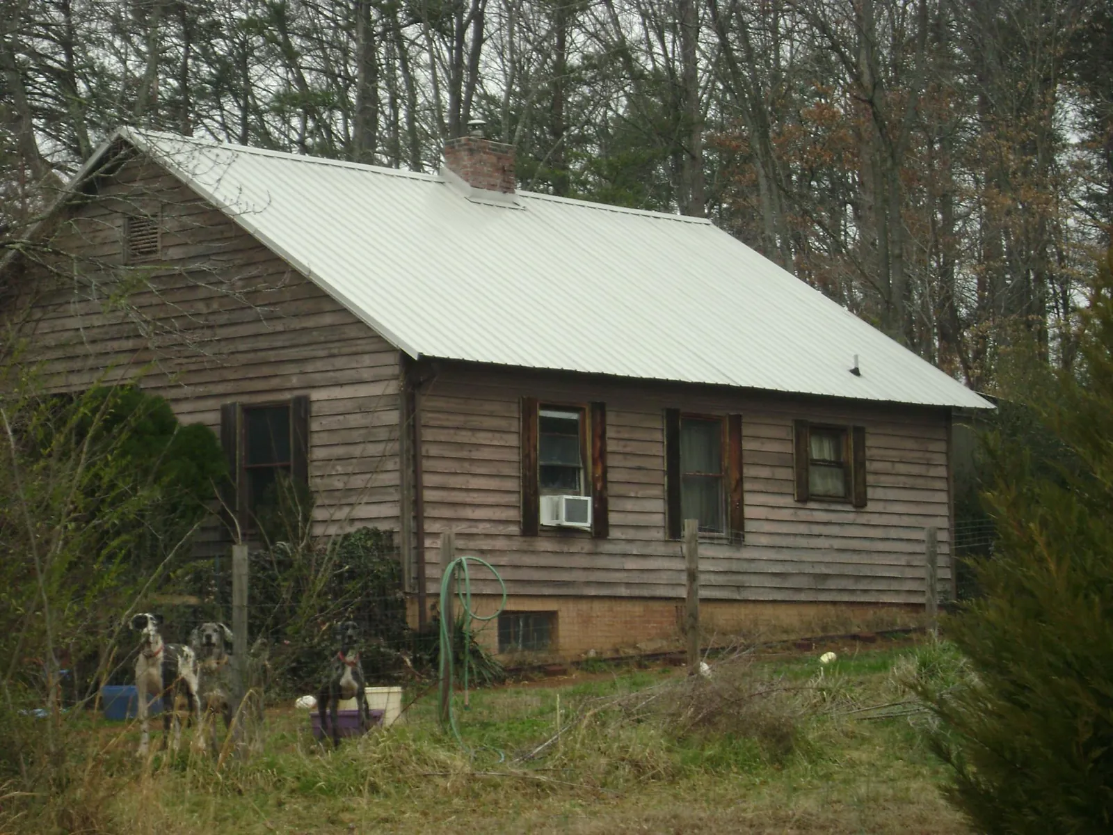 White metal roof on an old wood sided farmhouse, from a Asphalt Shingle Roof Repair job in Ash Fork